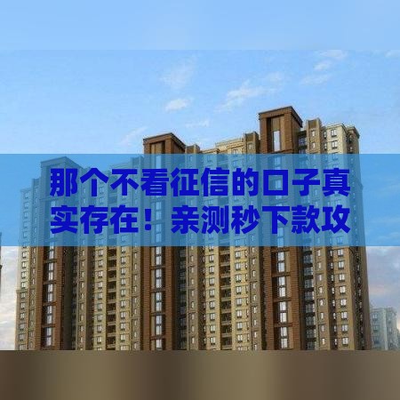 那个不看征信的口子真实存在！亲测秒下款攻略分享