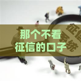 那个不看征信的口子真实存在！亲测秒下款攻略分享