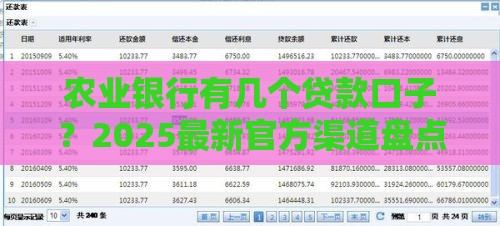 农业银行有几个贷款口子？2025最新官方渠道盘点