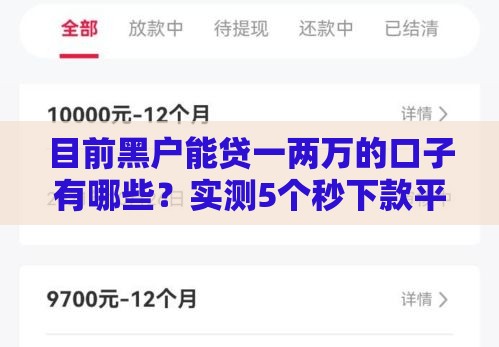 目前黑户能贷一两万的口子有哪些？实测5个秒下款平台分享