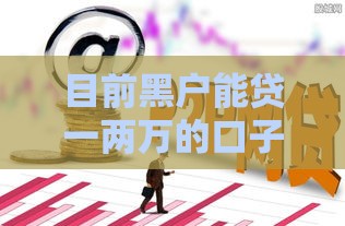 目前黑户能贷一两万的口子有哪些？实测5个秒下款平台分享