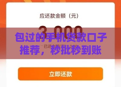 包过的手机贷款口子推荐，秒批秒到账不查征信的良心平台
