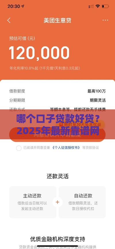 哪个口子贷款好贷？2025年最新靠谱网贷平台实测推荐