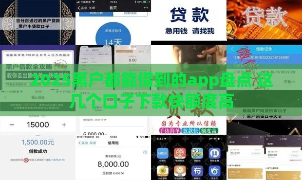 2025黑户都能借到的app盘点 这几个口子下款快额度高