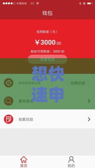 想快速申请贷款？这五个靠谱网贷口子秒到账不忽悠