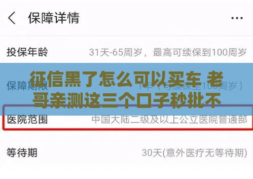 征信黑了怎么可以买车 老哥亲测这三个口子秒批不查征信