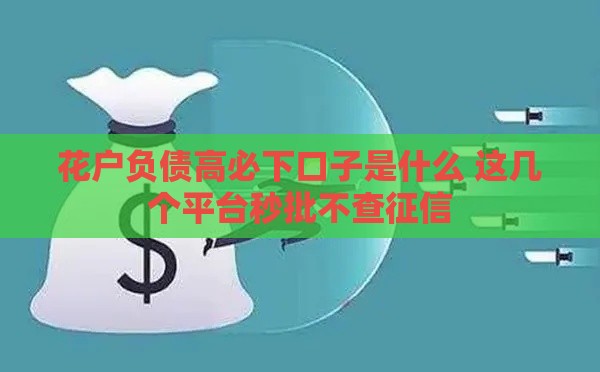 花户负债高必下口子是什么 这几个平台秒批不查征信