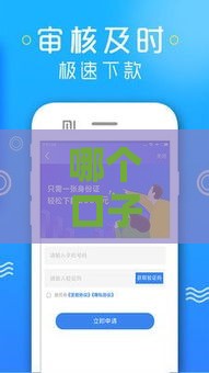 哪个口子贷款打款微信的 实测三分钟到账的良心平台推荐