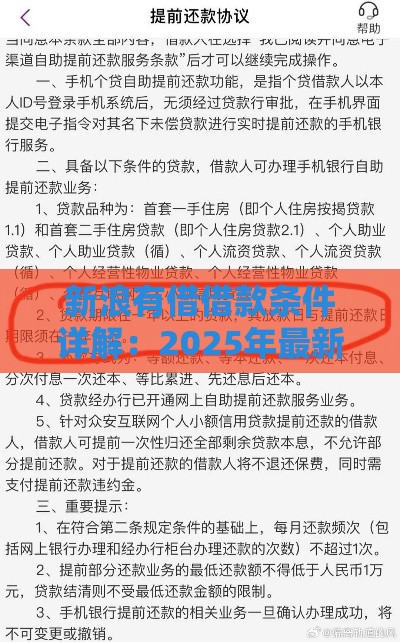 新浪有借借款条件详解：2025年最新资质要求与放款技巧