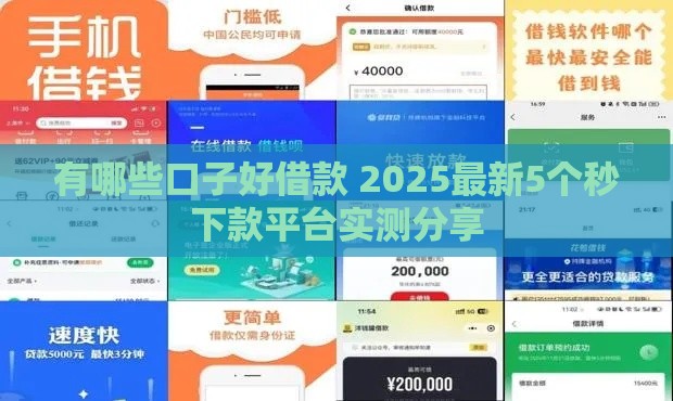 有哪些口子好借款 2025最新5个秒下款平台实测分享