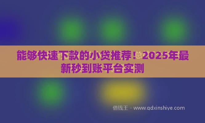 能够快速下款的小贷推荐！2025年最新秒到账平台实测