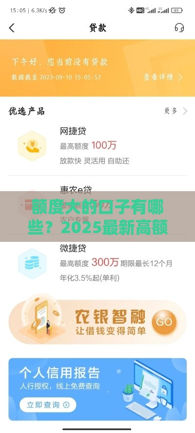 额度大的口子有哪些?2025最新高额网贷平台大盘点 额度大的口子有哪些?2025最新高额网贷平台大盘点