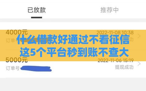 什么借款好通过不看征信 这5个平台秒到账不查大数据