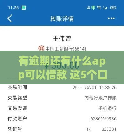 有逾期还有什么app可以借款 这5个口子黑户也能秒下款