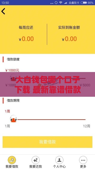 大白钱包哪个口子下载 最新靠谱借款通道实测分享