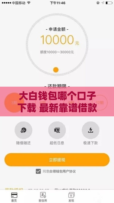 大白钱包哪个口子下载 最新靠谱借款通道实测分享