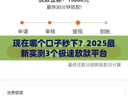 现在哪个口子秒下？2025最新实测3个极速放款平台