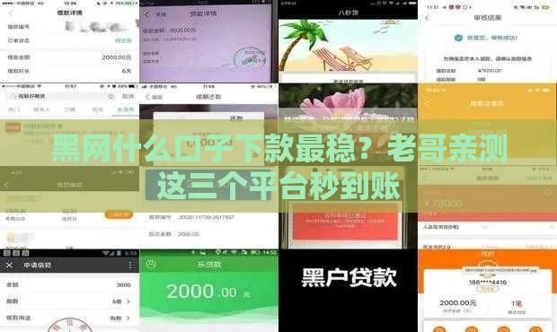 黑网什么口子下款最稳？老哥亲测这三个平台秒到账