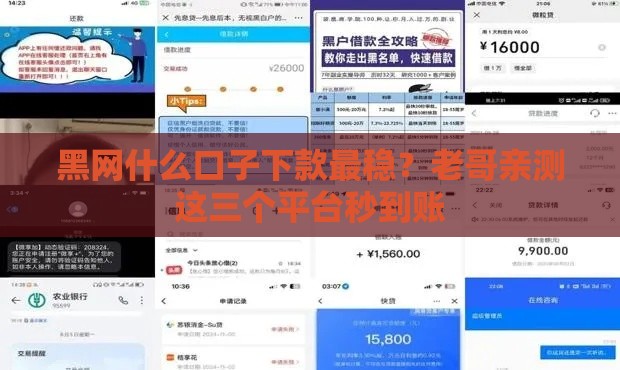 黑网什么口子下款最稳？老哥亲测这三个平台秒到账