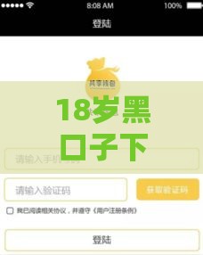 18岁黑口子下款实测分享！2025最新秒批小额贷款平台推荐