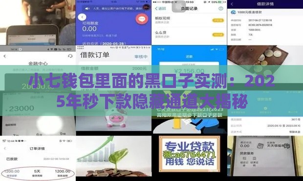 小七钱包里面的黑口子实测：2025年秒下款隐藏通道大揭秘