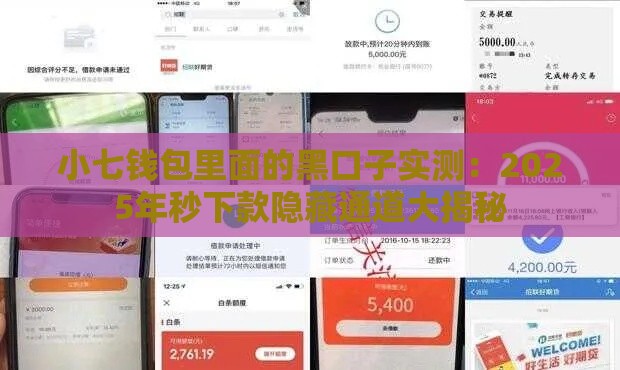 小七钱包里面的黑口子实测：2025年秒下款隐藏通道大揭秘