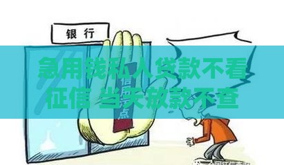 急用钱私人贷款不看征信 当天放款不查大数据的神仙口子