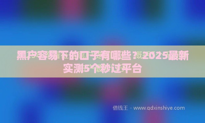 黑户容易下的口子有哪些？2025最新实测5个秒过平台