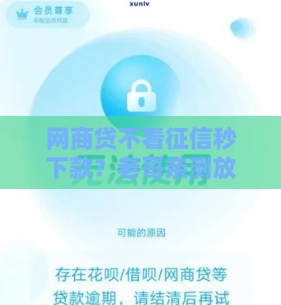 网商贷不看征信秒下款？老哥亲测放水通道真实分享