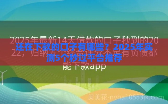 还在下款的口子有哪些？2025年实测5个秒过平台推荐