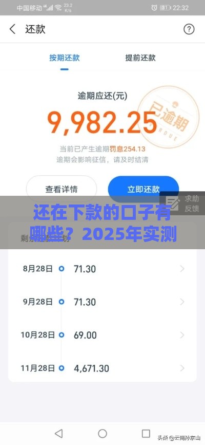 还在下款的口子有哪些？2025年实测5个秒过平台推荐