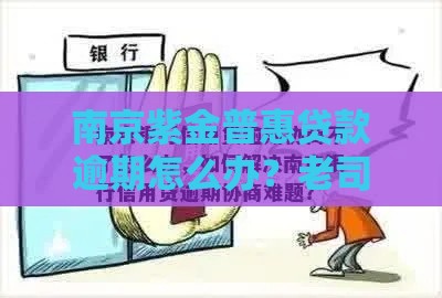 南京紫金普惠贷款逾期怎么办？老司机亲测补救攻略