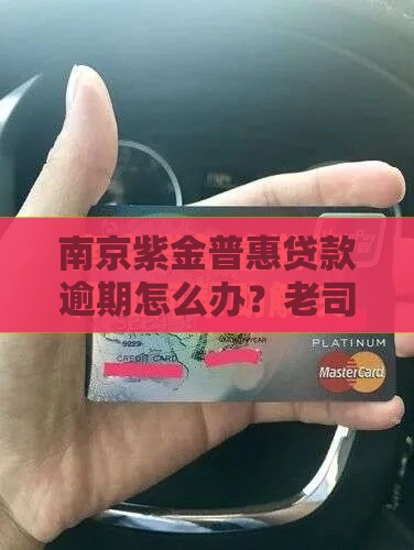 南京紫金普惠贷款逾期怎么办？老司机亲测补救攻略