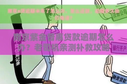 南京紫金普惠贷款逾期怎么办？老司机亲测补救攻略