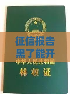 征信报告黑了能开公司吗 过来人用血泪史告诉你真相 征信报告黑了能开公司吗 过来人用血泪史告诉你真相