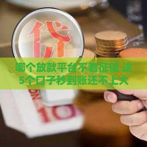哪个放款平台不看征信 这5个口子秒到账还不上大数据