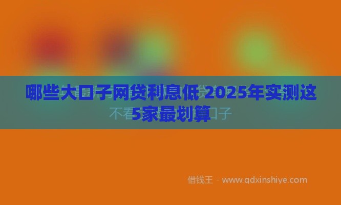 哪些大口子网贷利息低 2025年实测这5家最划算