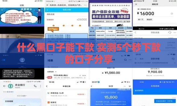 什么黑口子能下款 实测5个秒下款的口子分享