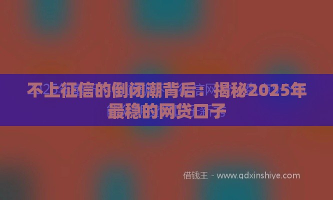 不上征信的倒闭潮背后：揭秘2025年最稳的网贷口子