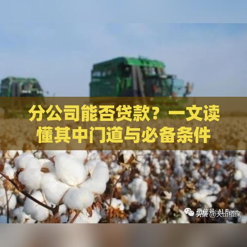 分公司能否贷款？一文读懂其中门道与必备条件