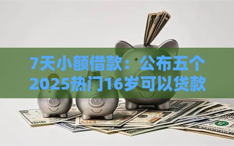 7天小额借款：公布五个2025热门16岁可以贷款的平台