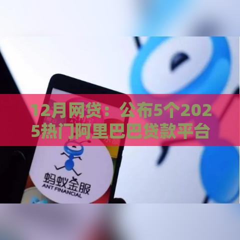 12月网贷：公布5个2025热门阿里巴巴贷款平台