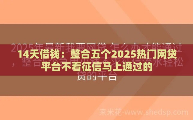 14天借钱：整合五个2025热门网贷平台不看征信马上通过的