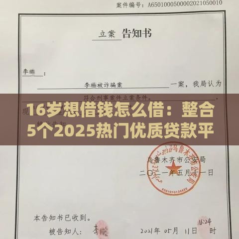 16岁想借钱怎么借：整合5个2025热门优质贷款平台