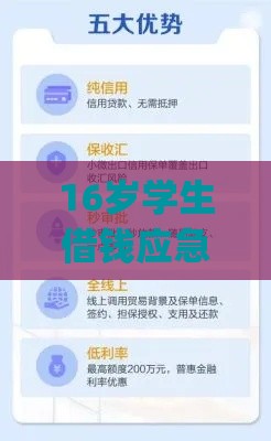 16岁学生借钱应急app:整理5个2025热门放款快的小额贷款平台 16岁学生借钱应急app:整理5个2025热门放款快的小额贷款平台