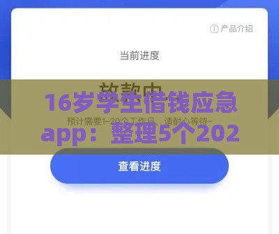 16岁学生借钱应急app:整理5个2025热门放款快的小额贷款平台 16岁学生借钱应急app:整理5个2025热门放款快的小额贷款平台