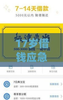 17岁借钱应急app：看看这五个2025热门2025商城套现的口子都有什么