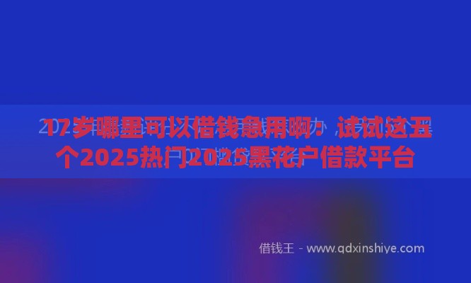 17岁哪里可以借钱急用啊：试试这五个2025热门2025黑花户借款平台