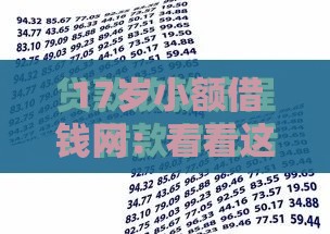 17岁小额借钱网：看看这五个2025热门征信花找第三方担保贷款平台