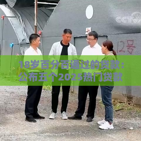 18岁百分百通过的贷款：公布五个2025热门贷款平台小额贷款